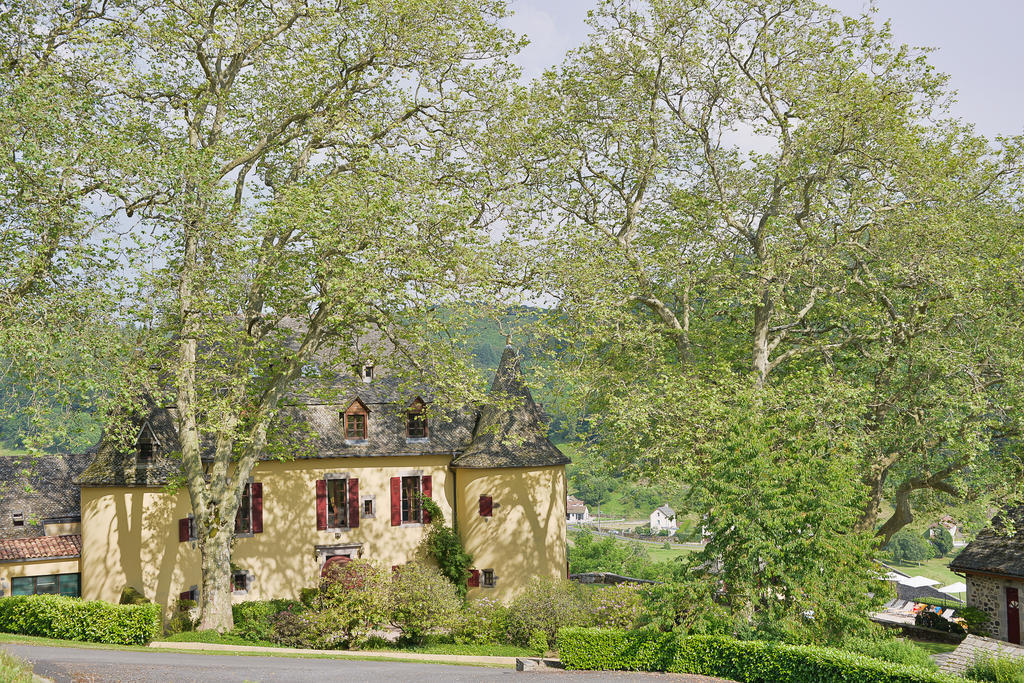 Chateau De Salles Vézac Екстериор снимка